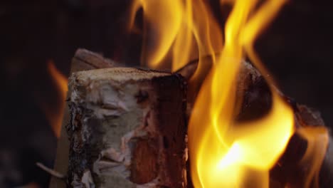 Burning-Logs-Slow-Motion-4K-04