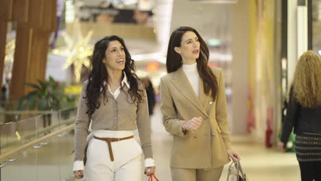 Two Women Shopping and Talking in a Modern Mall