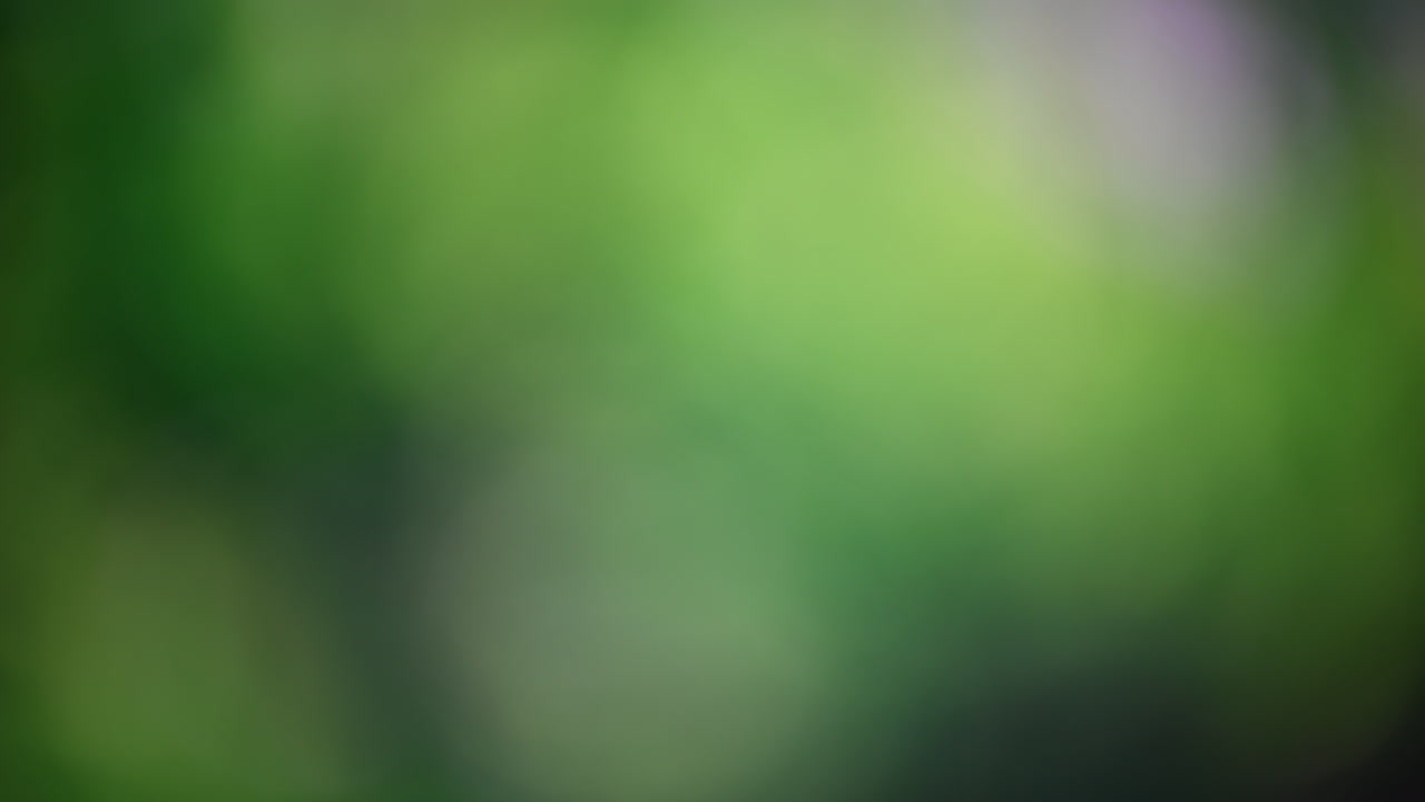 Abstract blurred background with vibrant green hues