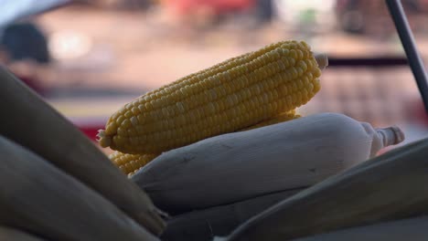 close exterior static shot of corn on the market street displaying on top in the day