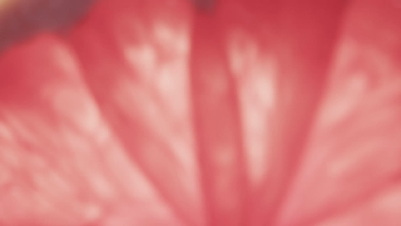 복사 공간 을 가진  ⁇ 은 그레이프프루트 조각 의 클로즈업 마이크로 비디오