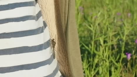 dragonfly on a person's jacket