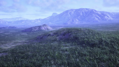 vast grasslands stretch beneath towering mountains in a serene landscape