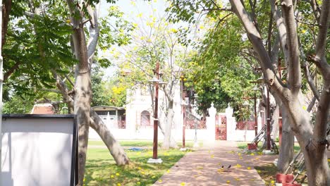 un paseo pacífico por un sendero del parque bordeado de árboles