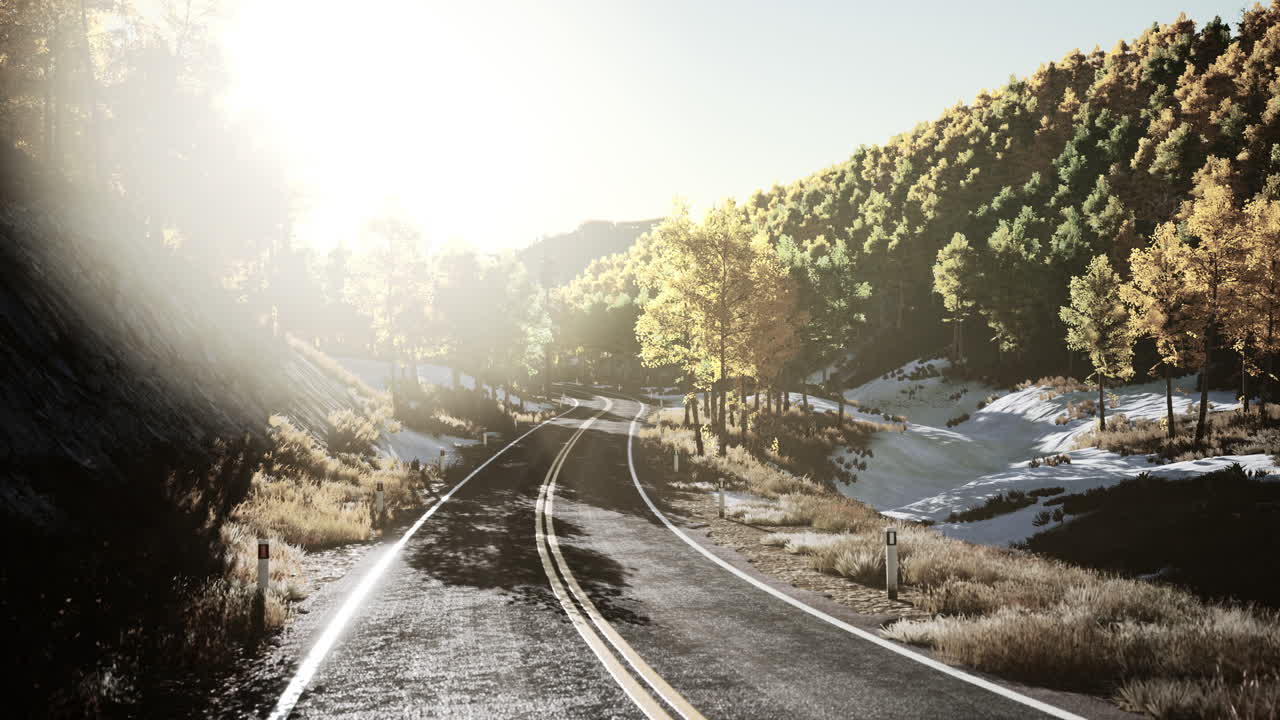 carretera de asfalto curva a través del bosque en otoño