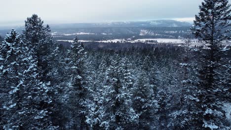 Sehr-Langsame-Luftaufnahme-Des-Mit-Eis-Und-Schnee-Bedeckten-Waldes-In-Den-Bergen