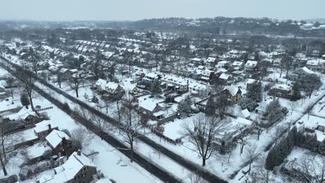 fotografía aérea de un suburbio nevado