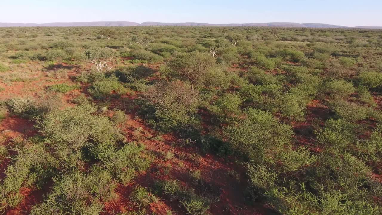 vista aérea de una árida sabana africana en la región de kalahari del cabo norte, sudáfrica
