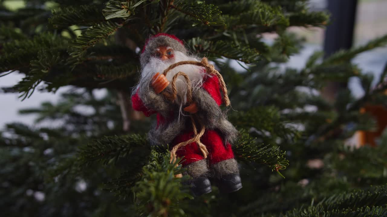 colgando el viejo clásico de santa claus en el árbol de navidad verde a la luz del día