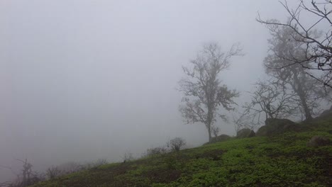 Cerros-Lachay,-Perú,-Humedal-Costero,-Ecosistema-Brumoso