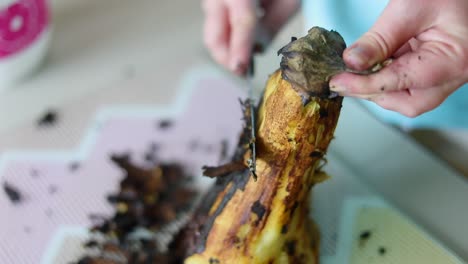 las manos pelan las berenjenas americanas a la parrilla.