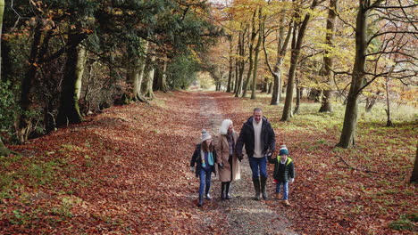 drone shot of smiling grandparents walking with grandchildren along path in autumn countryside