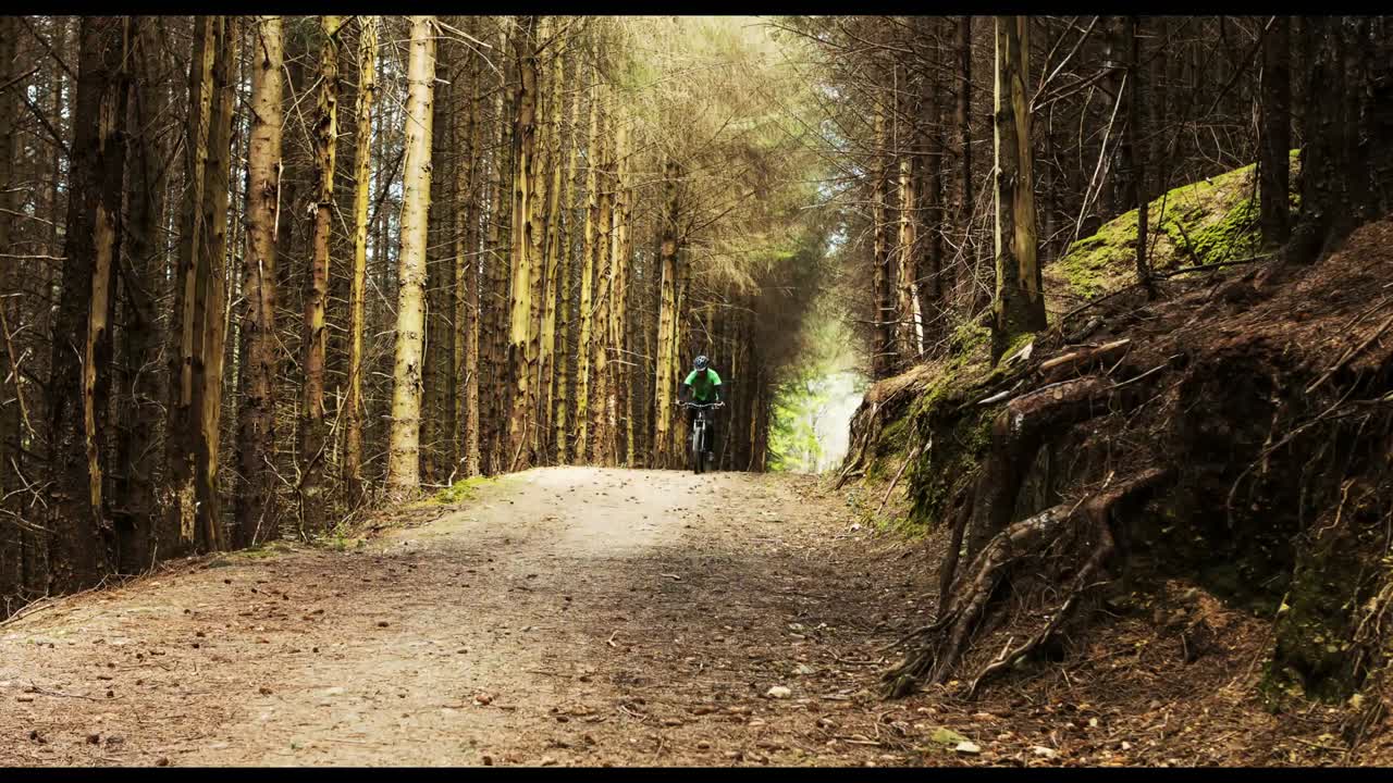 Ciclista di mountain bike nella foresta
