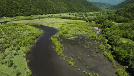 afluente del río del embalse del lago tkibuli en el valle con una vegetación exuberante