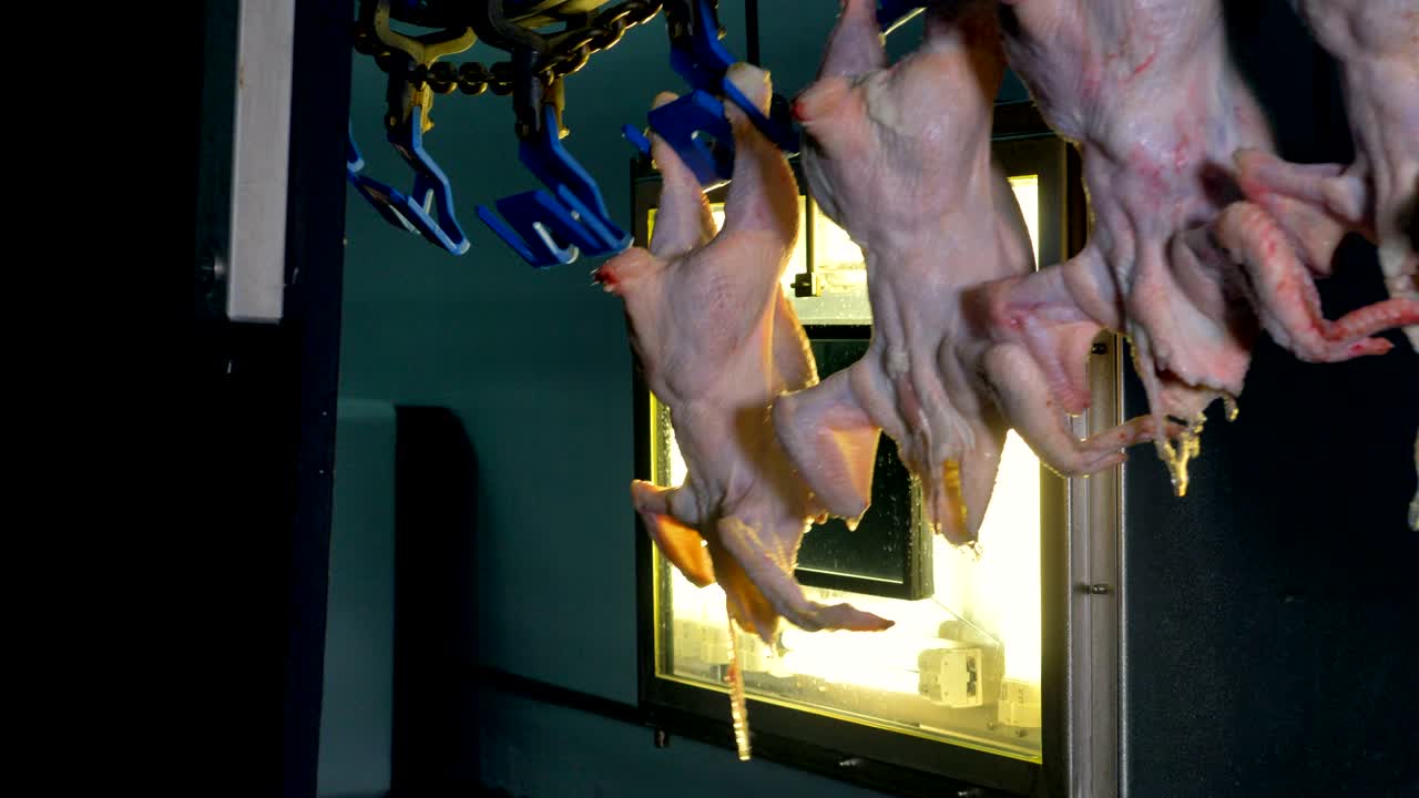 몸 품질관리: 이 밝은 공장 창문 근처로 이동합니다.