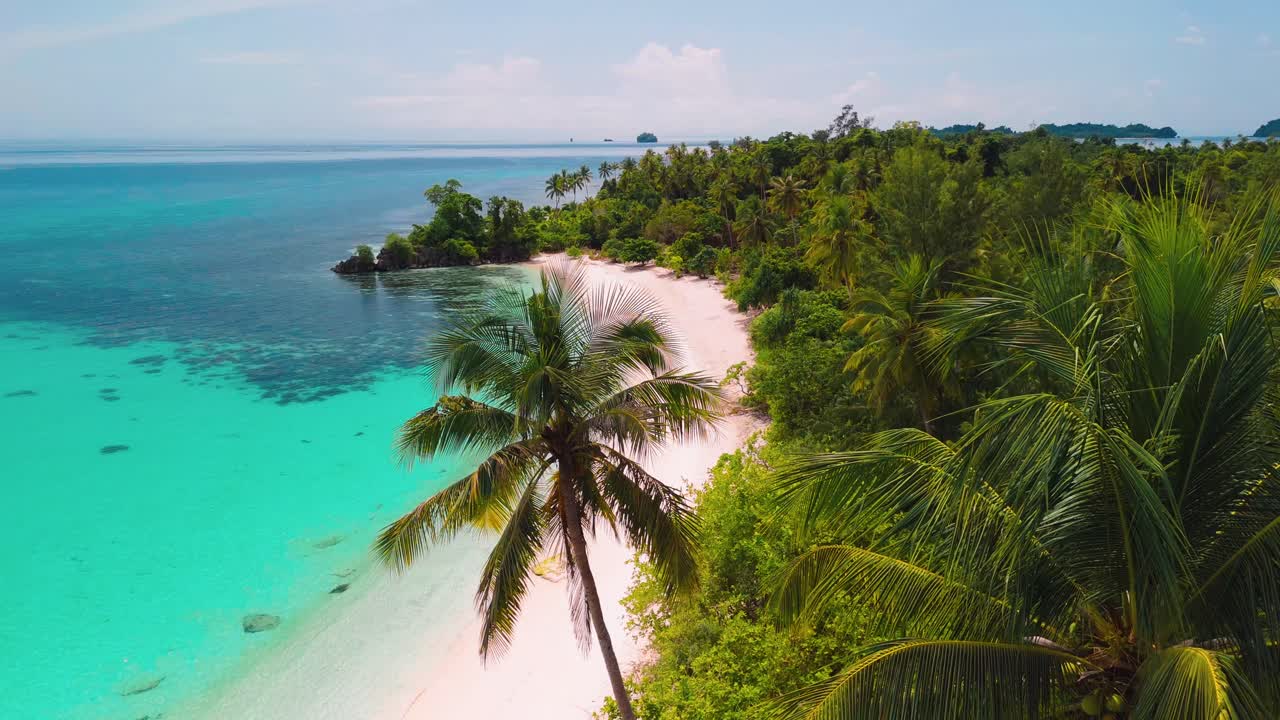 palme su una spiaggia di sabbia bianca nelle isole Banggai, Sulawesi