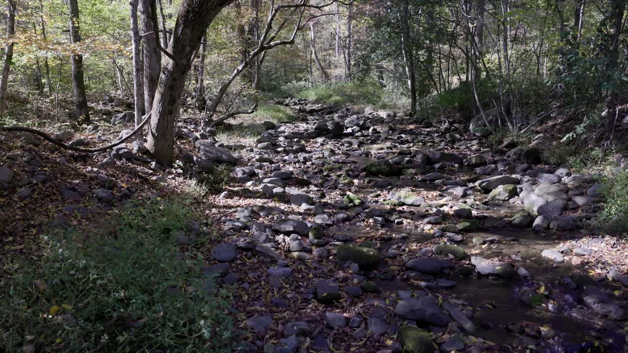 여름에 물이 흐르는 바위 개울 침대