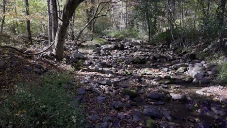 Lecho-De-Un-Arroyo-Rocoso-Con-Agua-Corriente-En-Verano