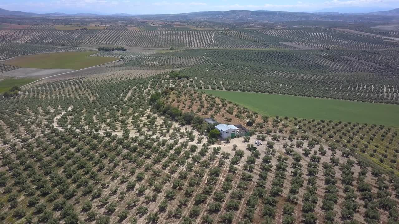 vista aérea de una fábrica de aceite rodeada de aceitunas en el sur de españa