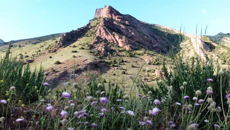 Hermosa-Naturaleza-Del-Valle-En-Las-Montañas-De-Kirguistán