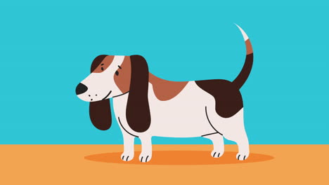 cute dog mascot character animation