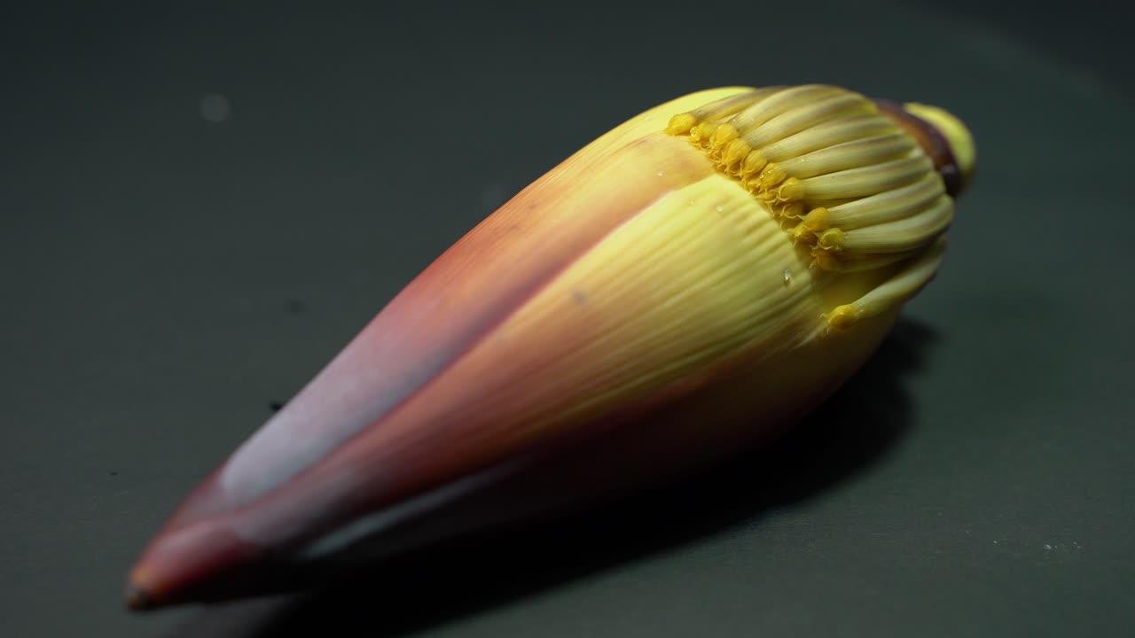 flor de plátano rica en nutrientes o flor de plátano o moca tiene muchos beneficios nutricionales