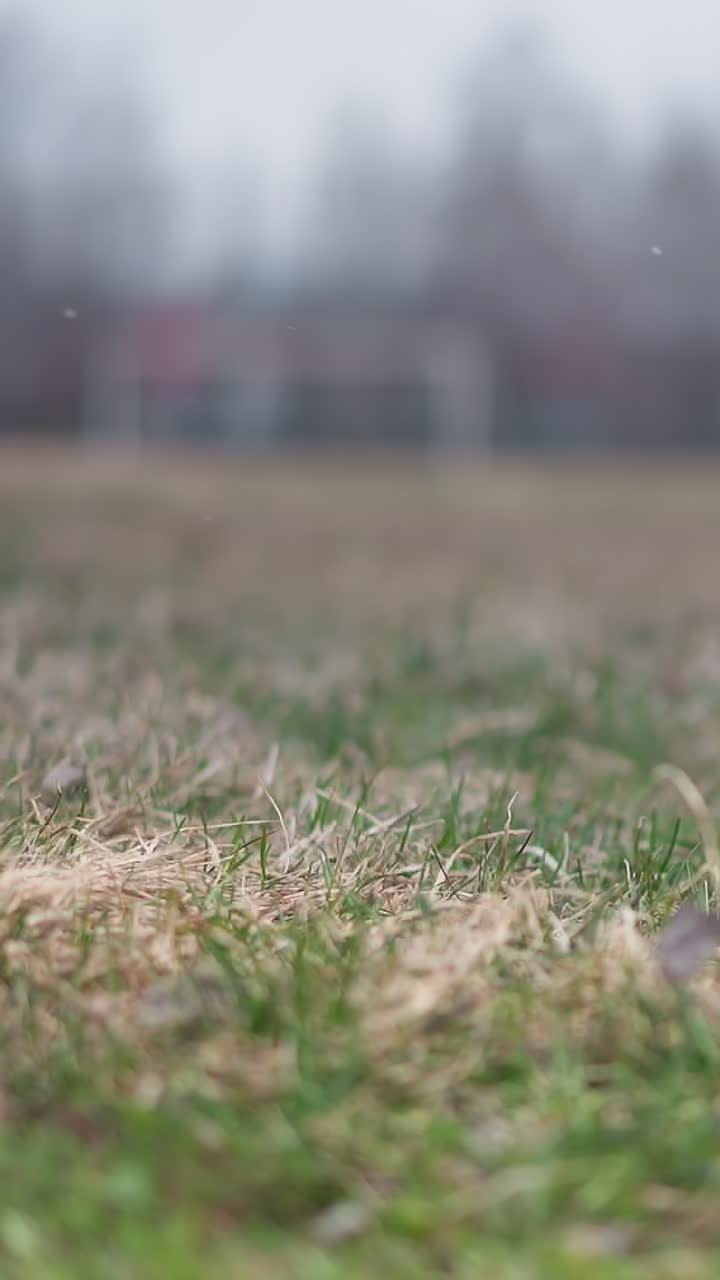 Blurred view of someone playing football on a grassy field with a football goal post visible in the background