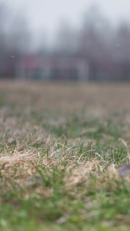 blurred view of someone playing football on a grassy field with a football goal post visible in the background
