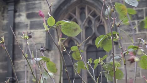 antigua ventana gótica de la iglesia en inglaterra