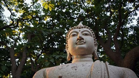 Low-angle video shot of a serene Buddha statue framed by lush green leaves, capturing a peaceful
