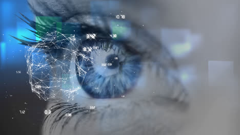primer plano del ojo azul