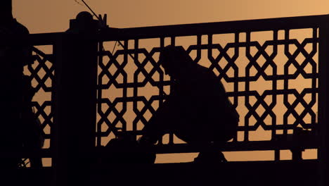 solitary, backlit fisherman on galata bridge at sunset in istanbul