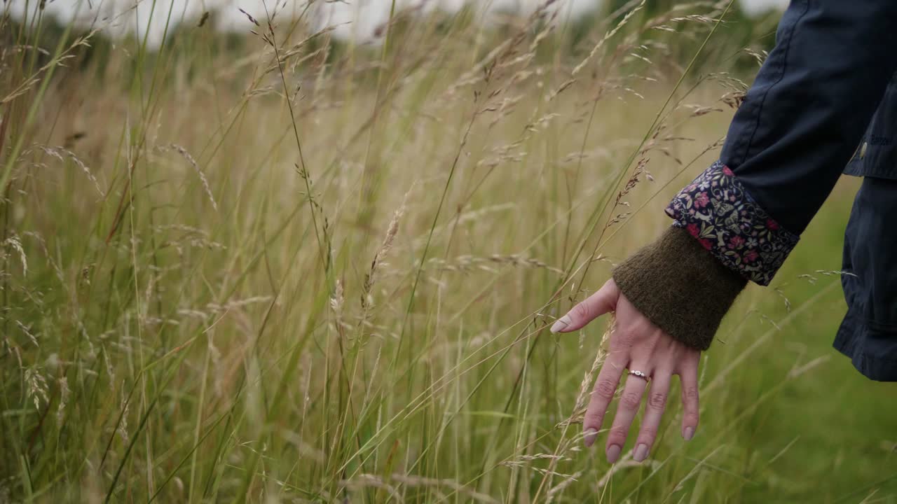들판을 걷고 키가 큰 귀리 잔디를 통해 손을 달리는 여자