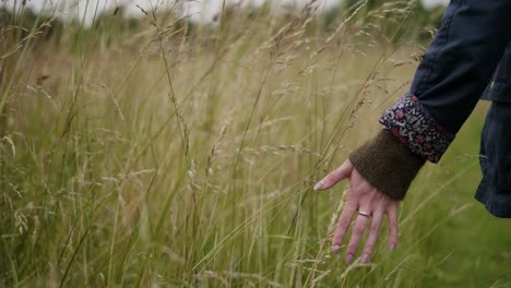 woman walking through field and running hand through tall oat grass