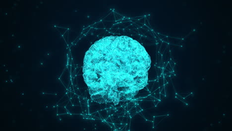 human brain and plexus structure revolving with skull scan and digits orbiting around