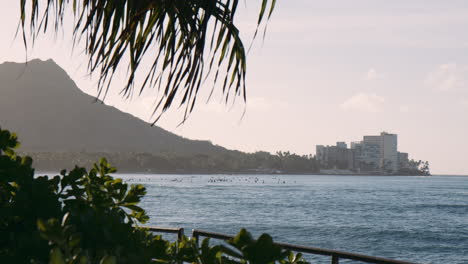 surfing line-up paddling in waikiki bay at sunrise, diamond head in the distance