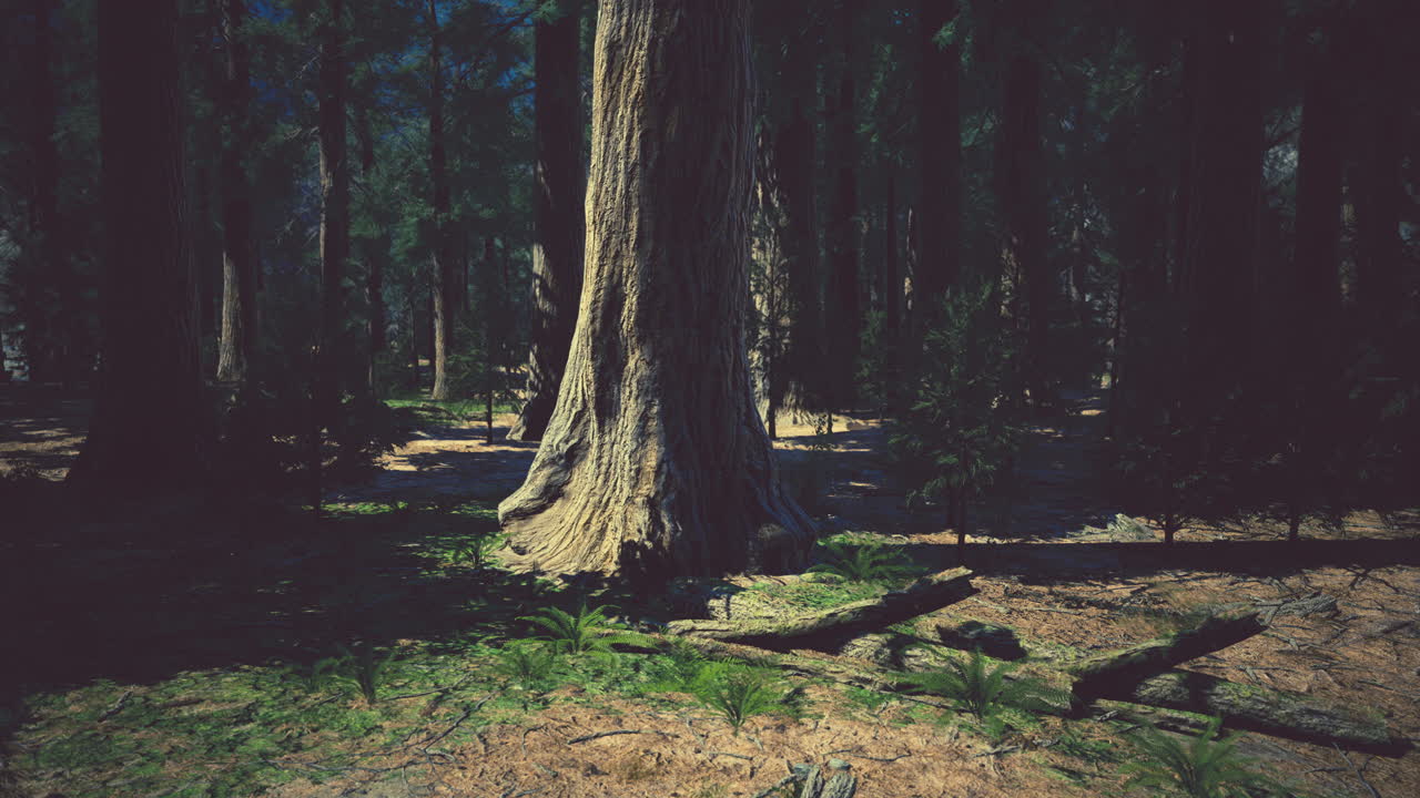 una escena misteriosa en el bosque.