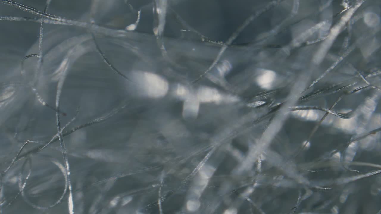 Steel wool fibers under microscope low magnification