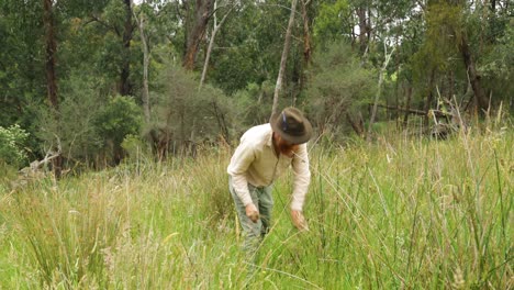 un bosquero australiano de aspecto histórico corta la hierba en un campo cerca del bosque