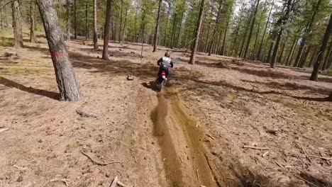 race drone motocross rider far away to close up in forest singletrack, 60fps