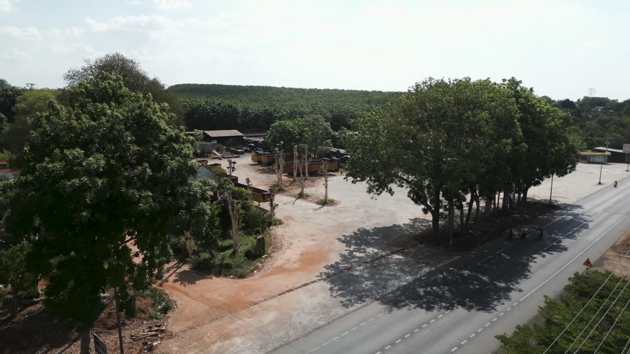 Rural Roadside Scene with Trucks and Trees