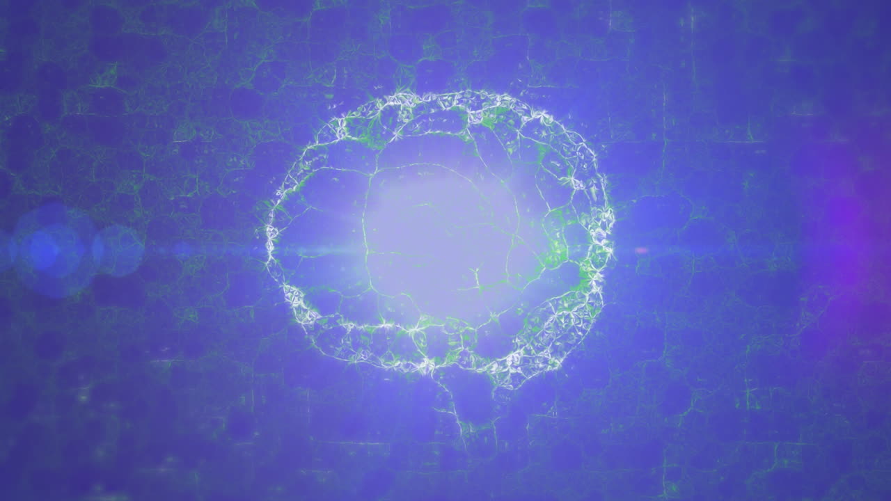 어두운 파란색 배경에 있는 인간 뇌의 애니메이션