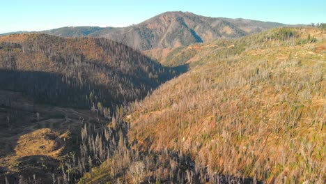 Herrlicher-Stanislaus-National-Forest-In-Tuolumne-County,-Kalifornien,-Usa