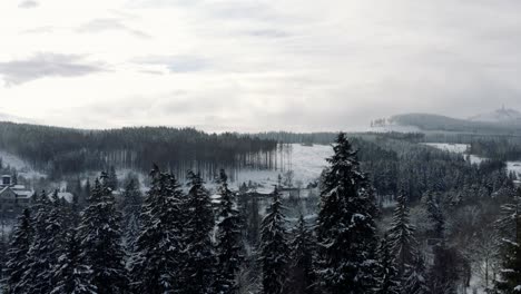 Winter-Im-Nationalpark-Harz