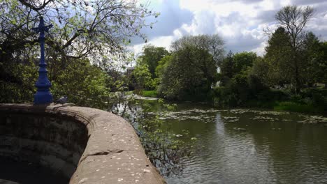 royal leamington spa, a pigeon takes off over the river leam and flies away on a bright summer day