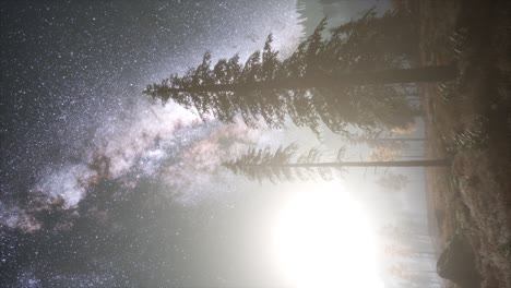 milky way galaxy over forest