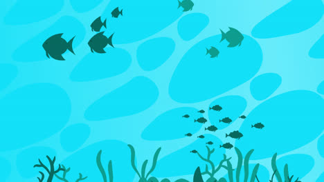 motion graphic of underwater background with different marine species