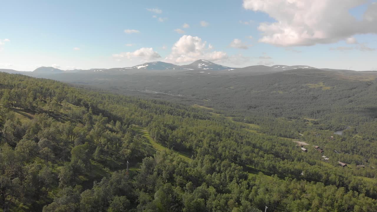 경치 좋은 산의 풍경과 함께 숲 위로 날아가는 드론
