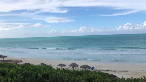 panorámica de la cámara a lo largo de la playa caribeña bordeada de manglares