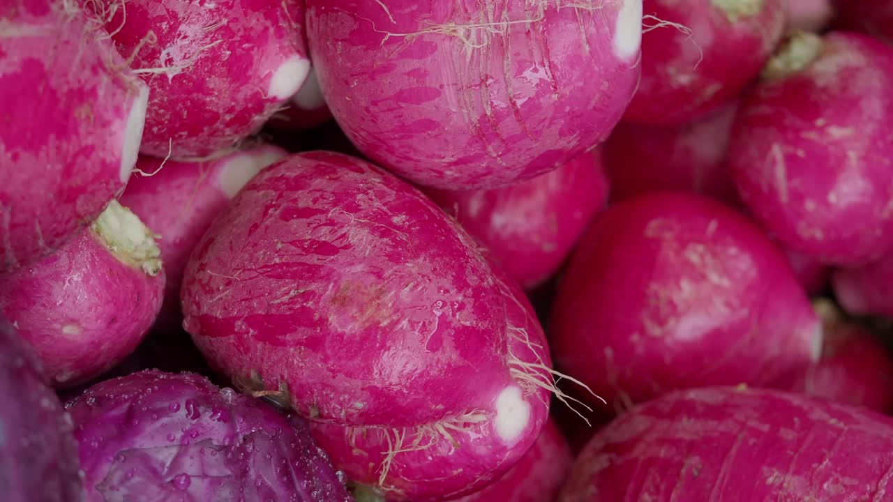 Radishes close-up